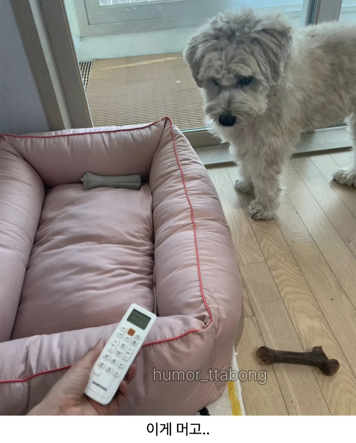 강아지방석 당근했는데.jpg