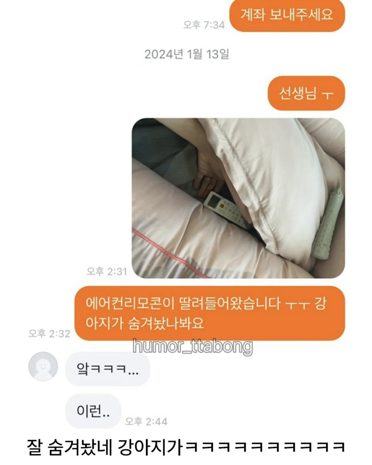 강아지방석 당근했는데.jpg