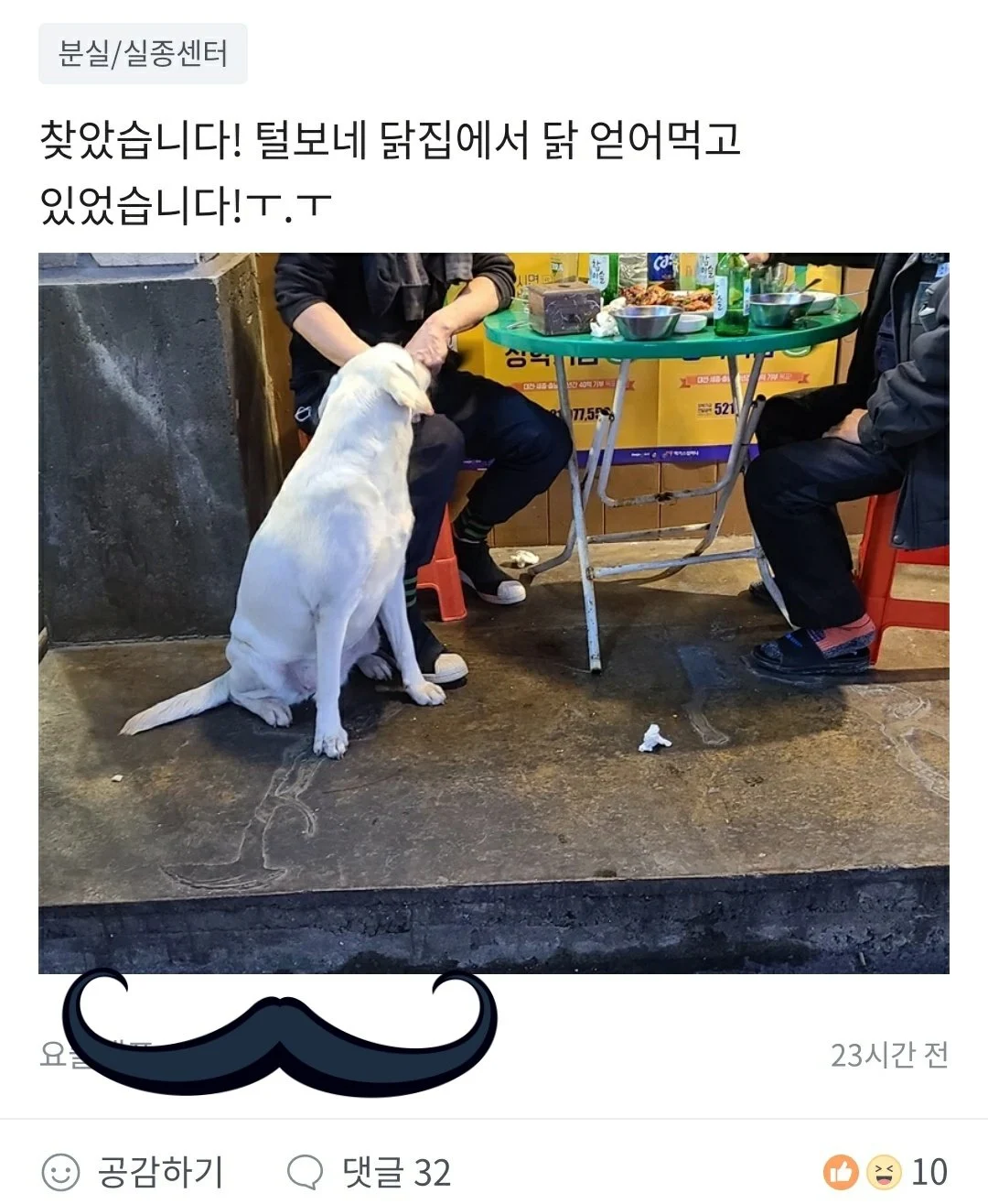 당근에 올라온 분실 댕댕이
