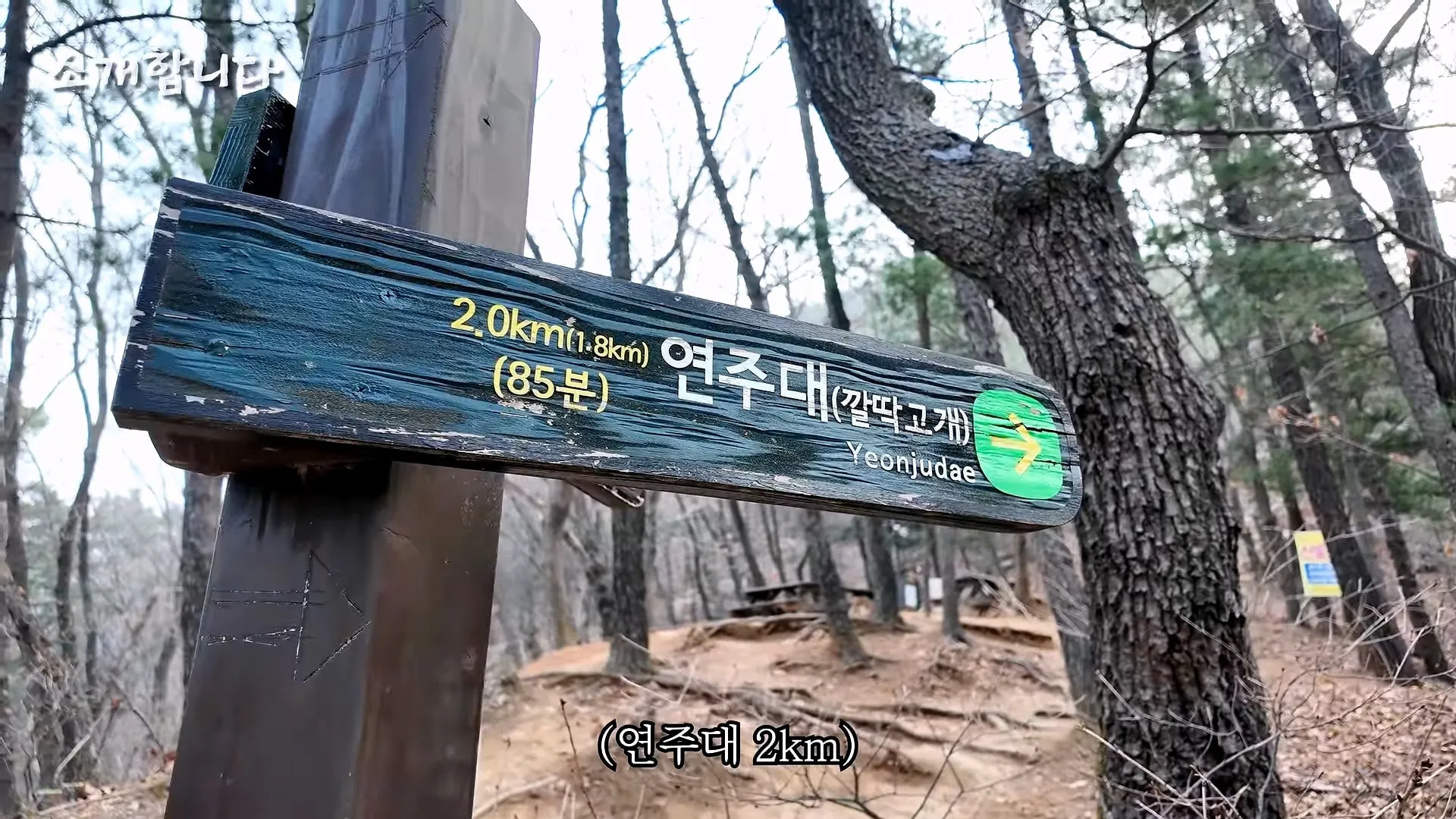 120kg 지게 지고 7시간 등반한다는 관악산 지게꾼의 하루