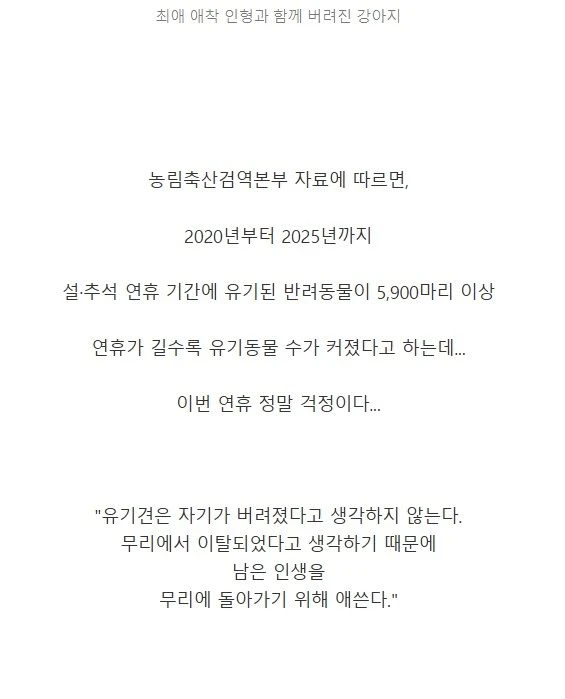 최애 애착 인형과 함께 버려진 강아지.