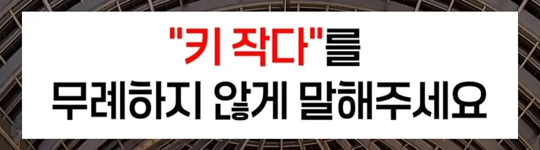 너 키 작다를 무례하지 않게 말하는 법