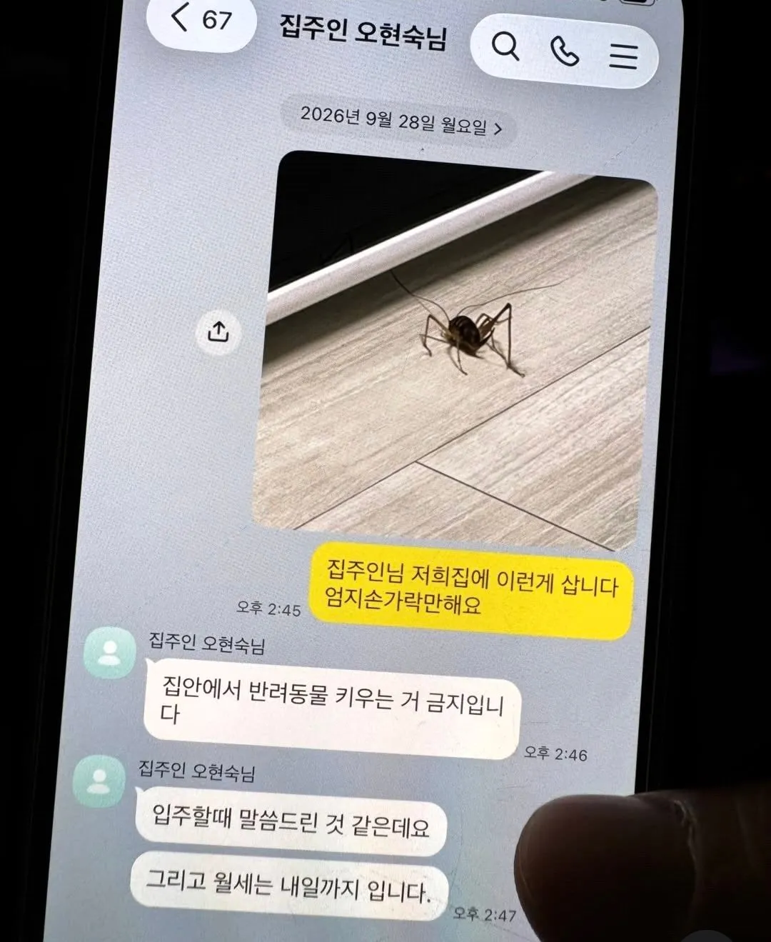 약혐) 집안에서 반려동물 키우는 거 금지입니다