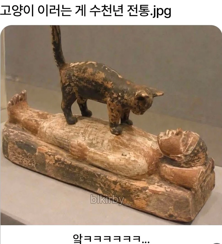 고양이 이러는 게 수천년 전통