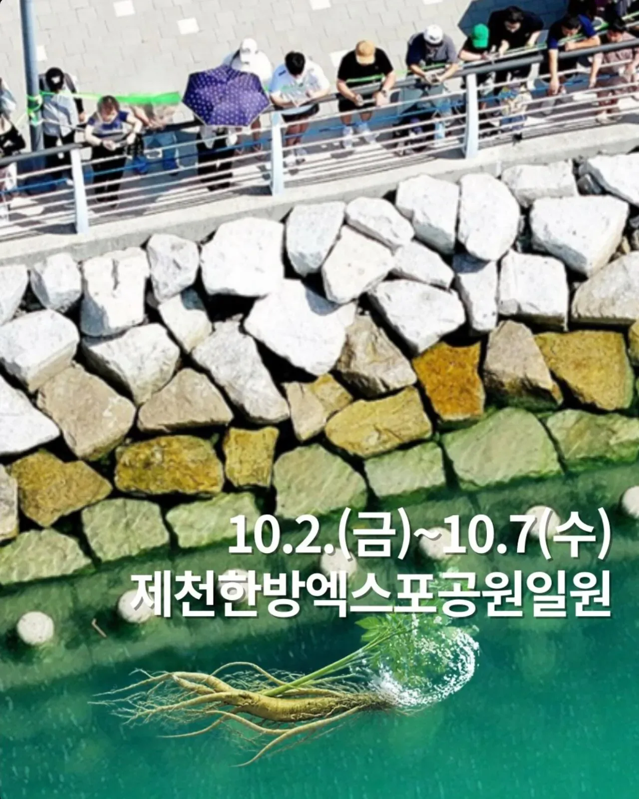 북항 부캉 인파가 부러웠던 충북 제천시