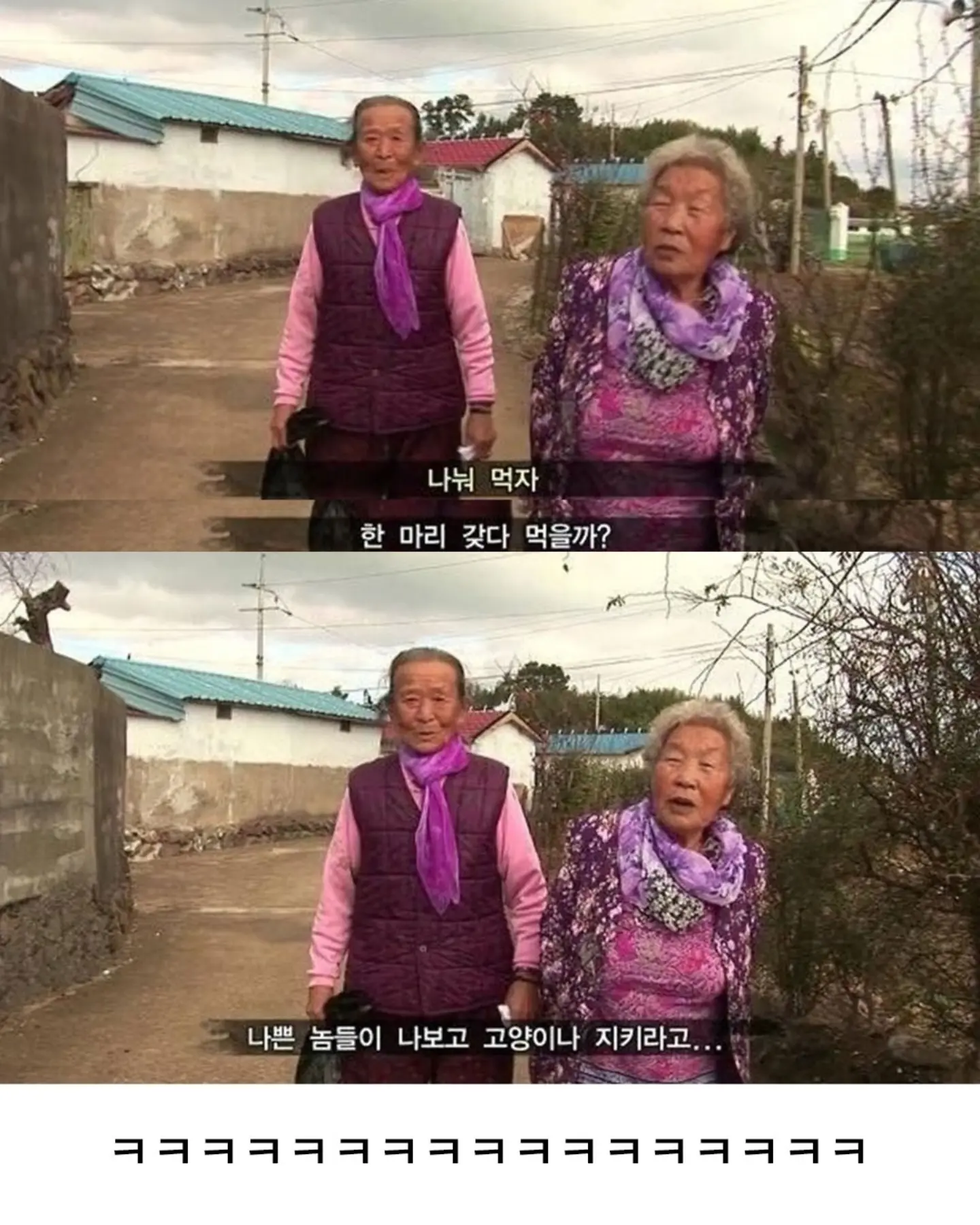 고양이가 생선 안 훔치게 지켜보라 부탁받은 할머니