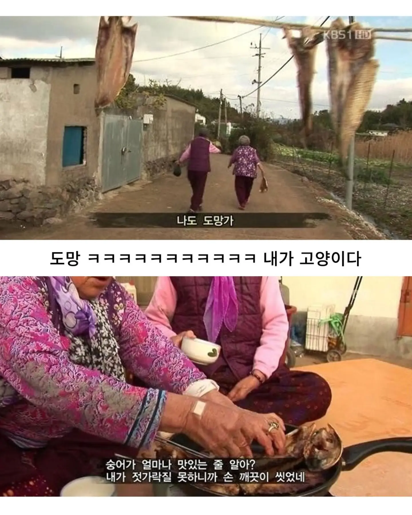 고양이가 생선 안 훔치게 지켜보라 부탁받은 할머니