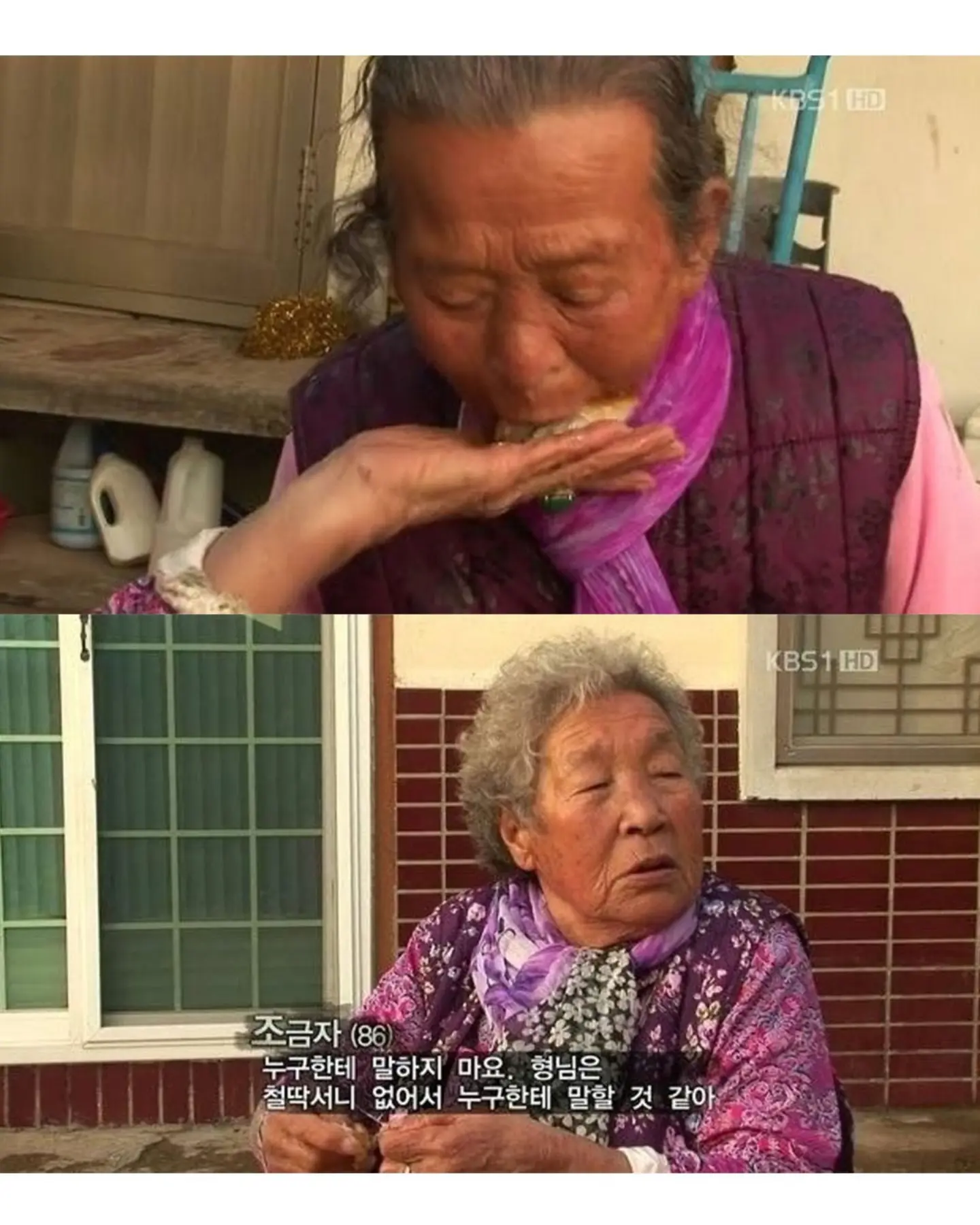 고양이가 생선 안 훔치게 지켜보라 부탁받은 할머니