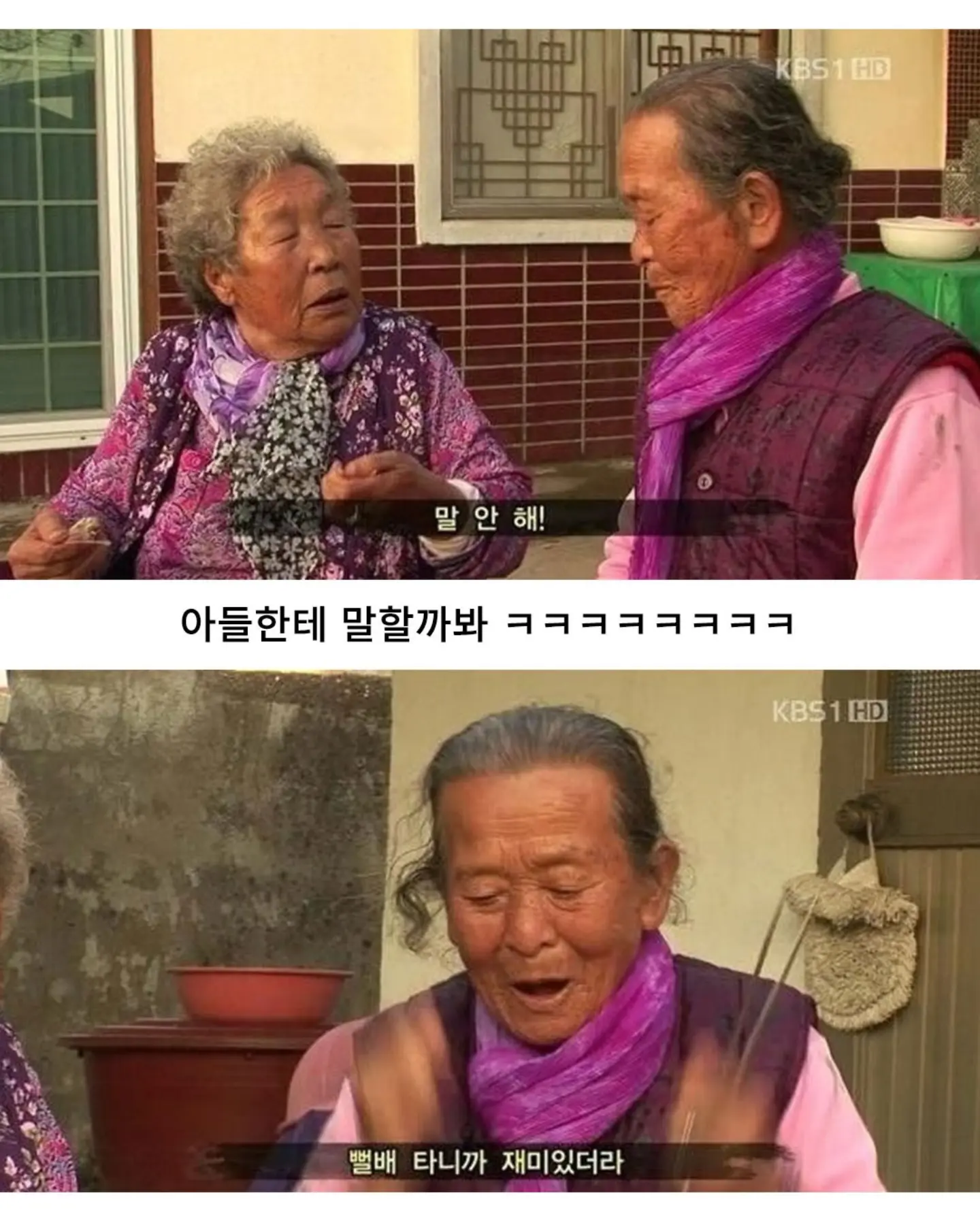 고양이가 생선 안 훔치게 지켜보라 부탁받은 할머니