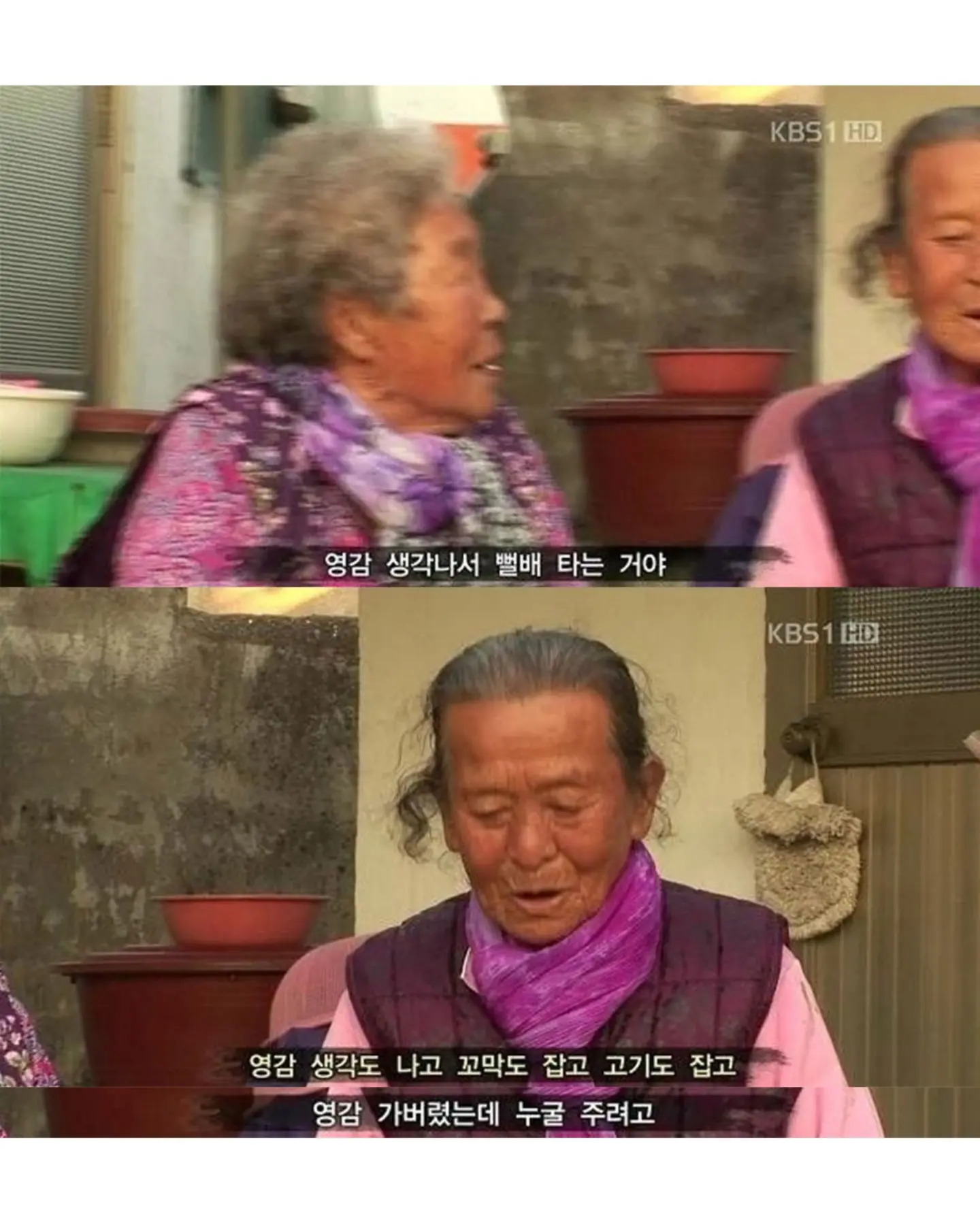 고양이가 생선 안 훔치게 지켜보라 부탁받은 할머니
