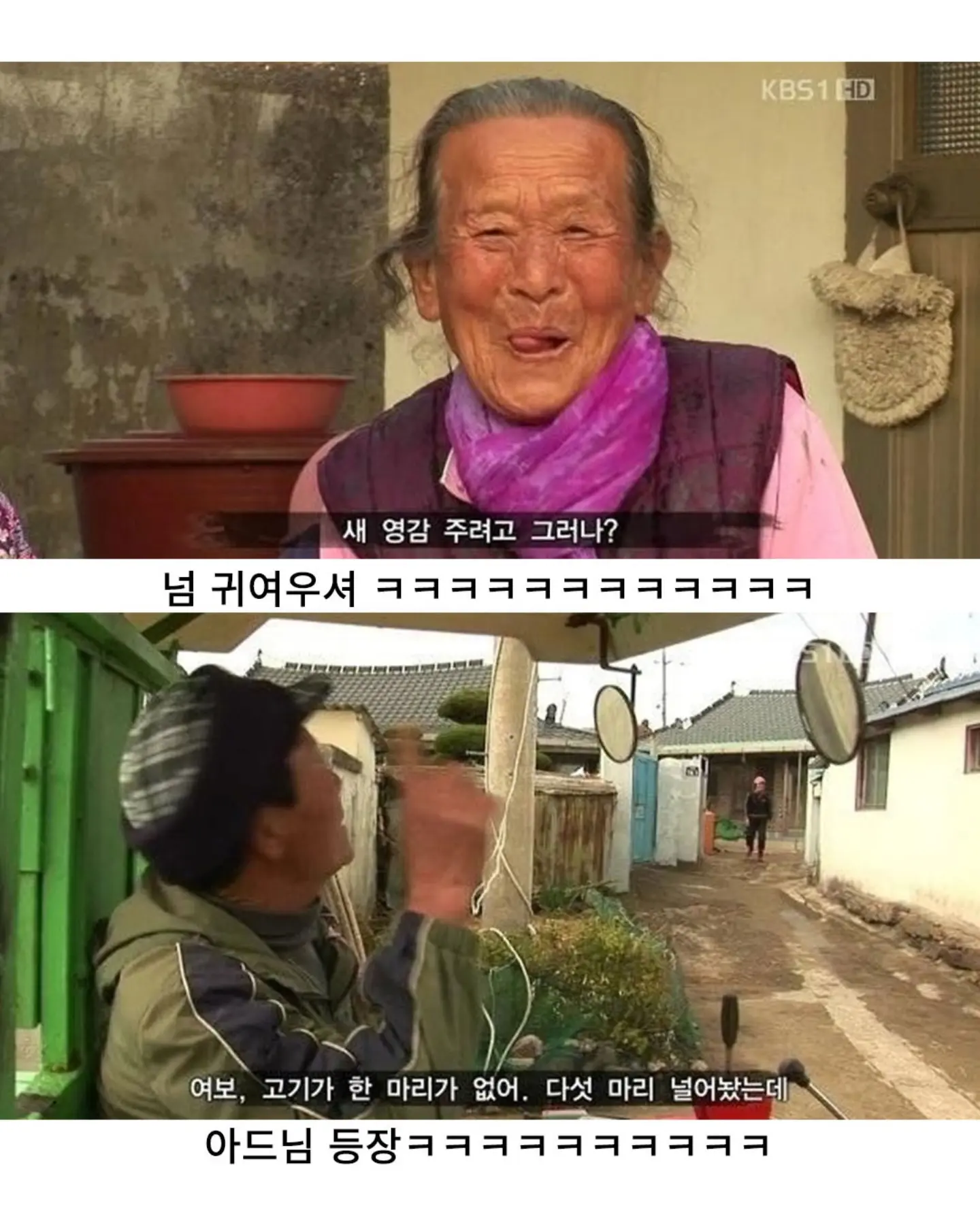 고양이가 생선 안 훔치게 지켜보라 부탁받은 할머니