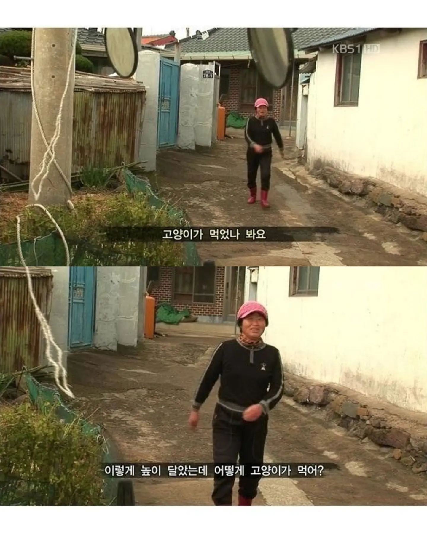 고양이가 생선 안 훔치게 지켜보라 부탁받은 할머니