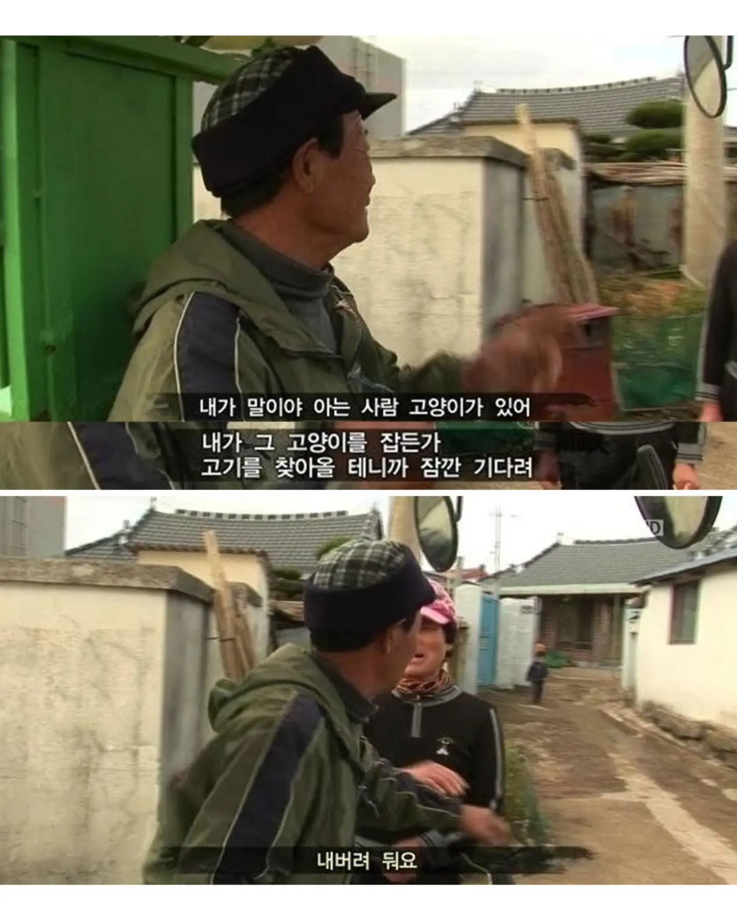 고양이가 생선 안 훔치게 지켜보라 부탁받은 할머니
