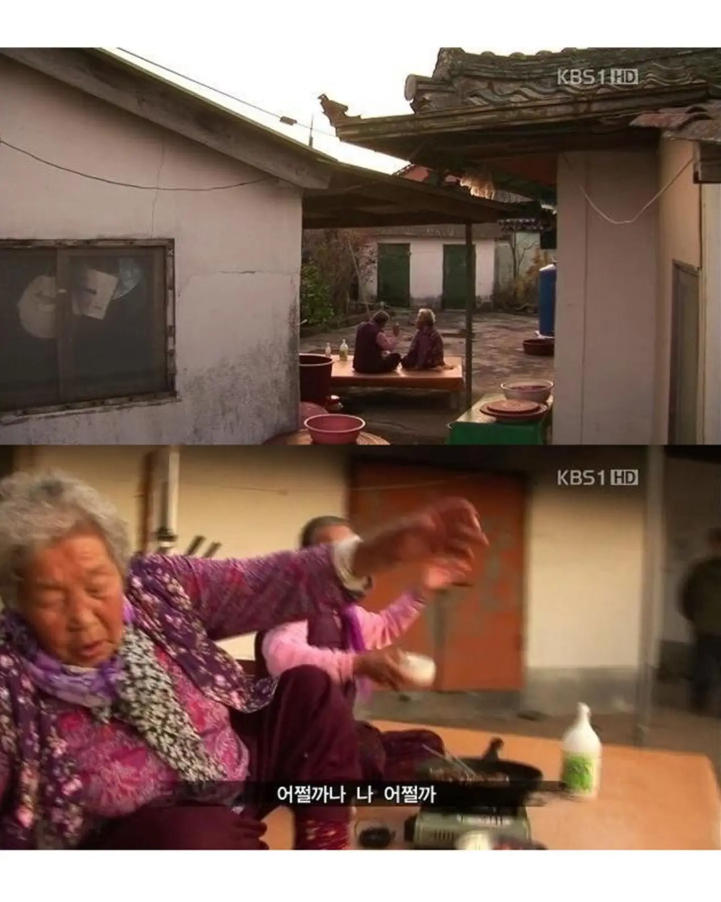 고양이가 생선 안 훔치게 지켜보라 부탁받은 할머니