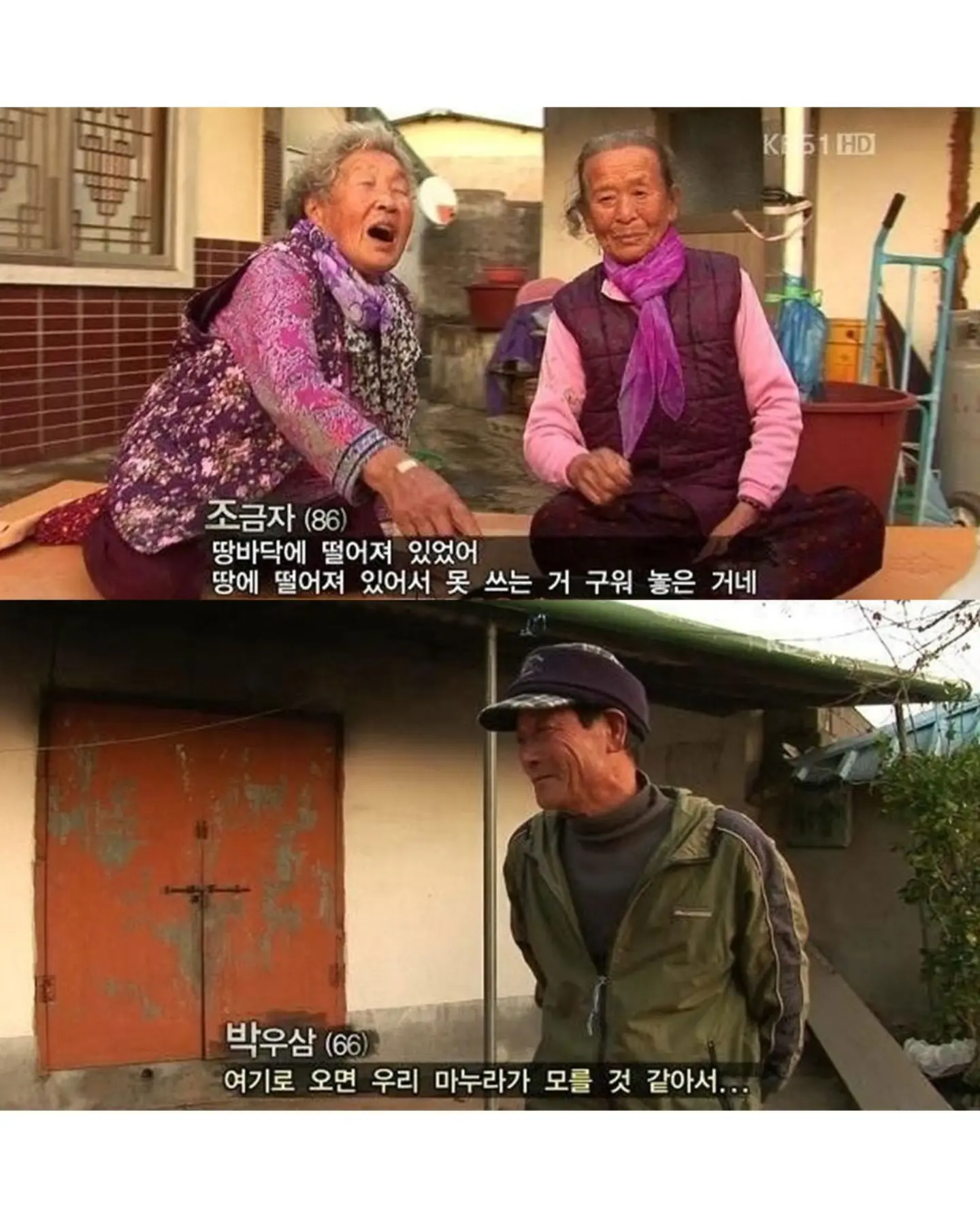 고양이가 생선 안 훔치게 지켜보라 부탁받은 할머니
