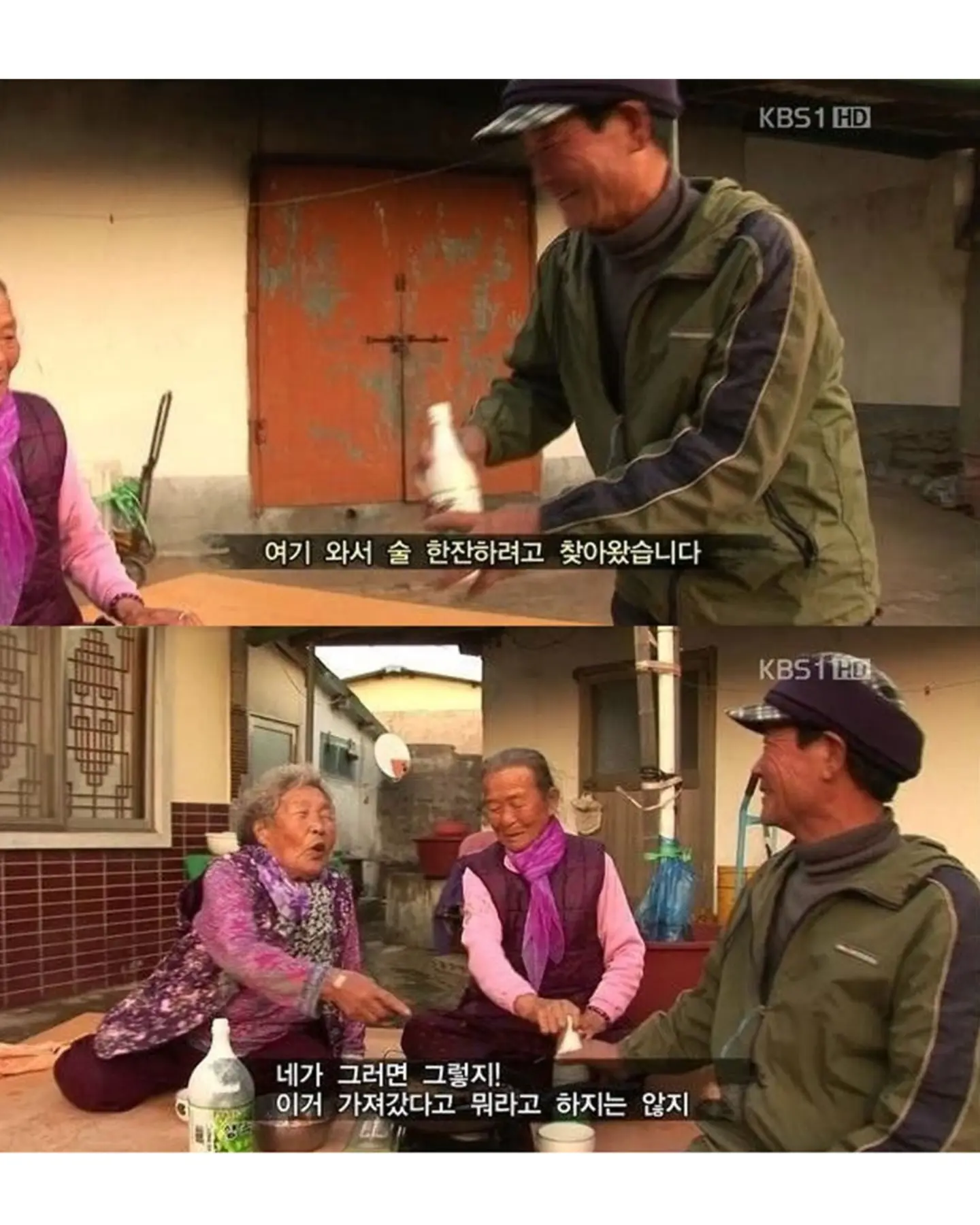 고양이가 생선 안 훔치게 지켜보라 부탁받은 할머니