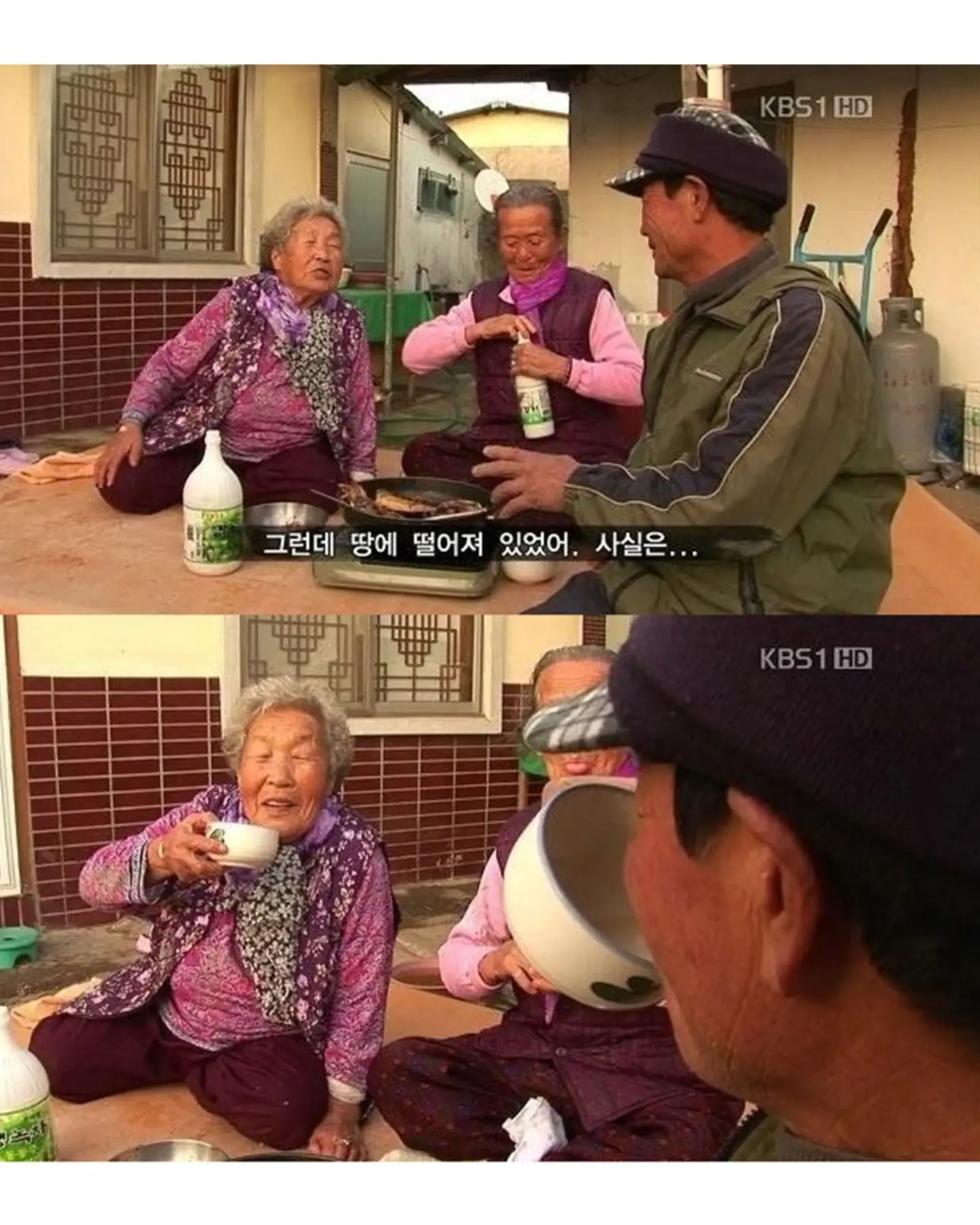 고양이가 생선 안 훔치게 지켜보라 부탁받은 할머니