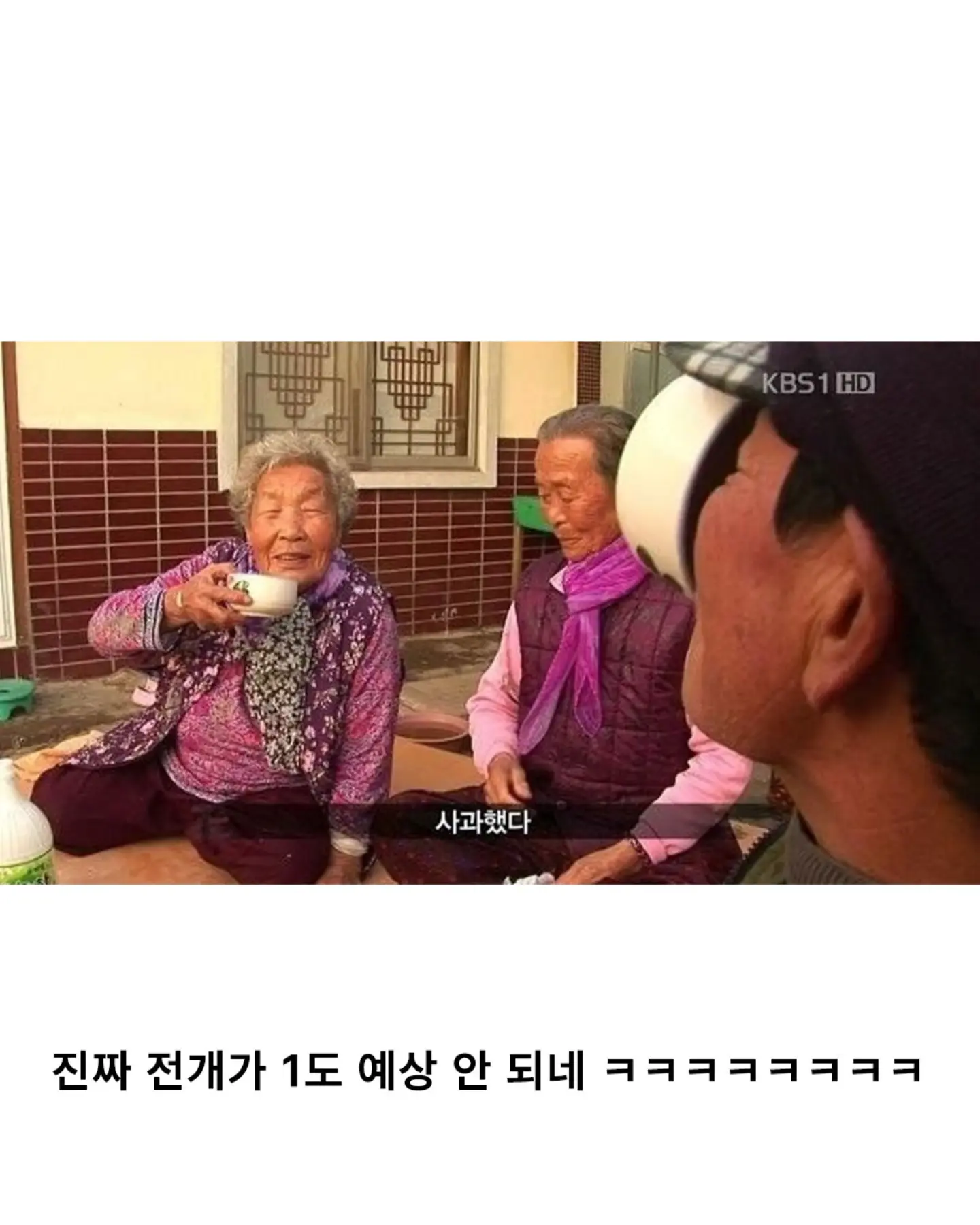 고양이가 생선 안 훔치게 지켜보라 부탁받은 할머니