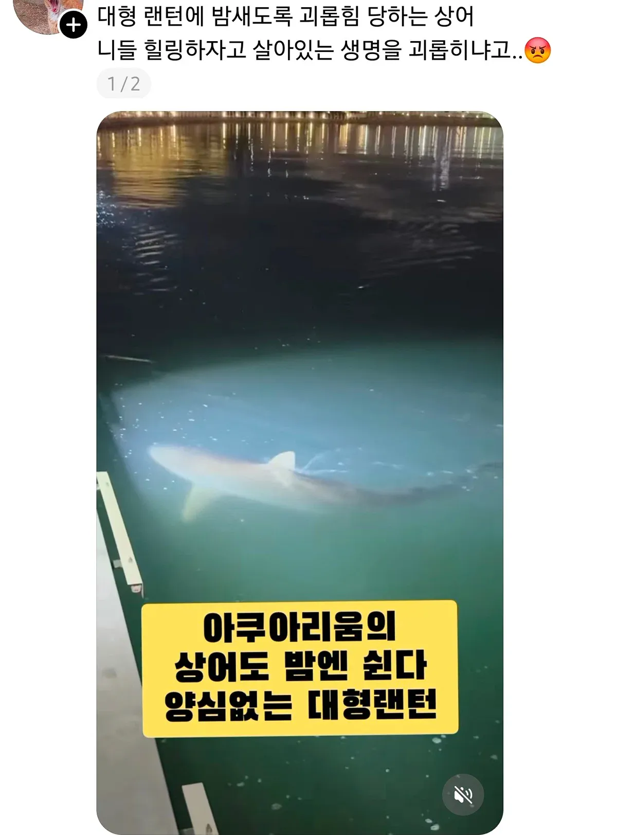 부캉이 내보내야하는 이유.jpg