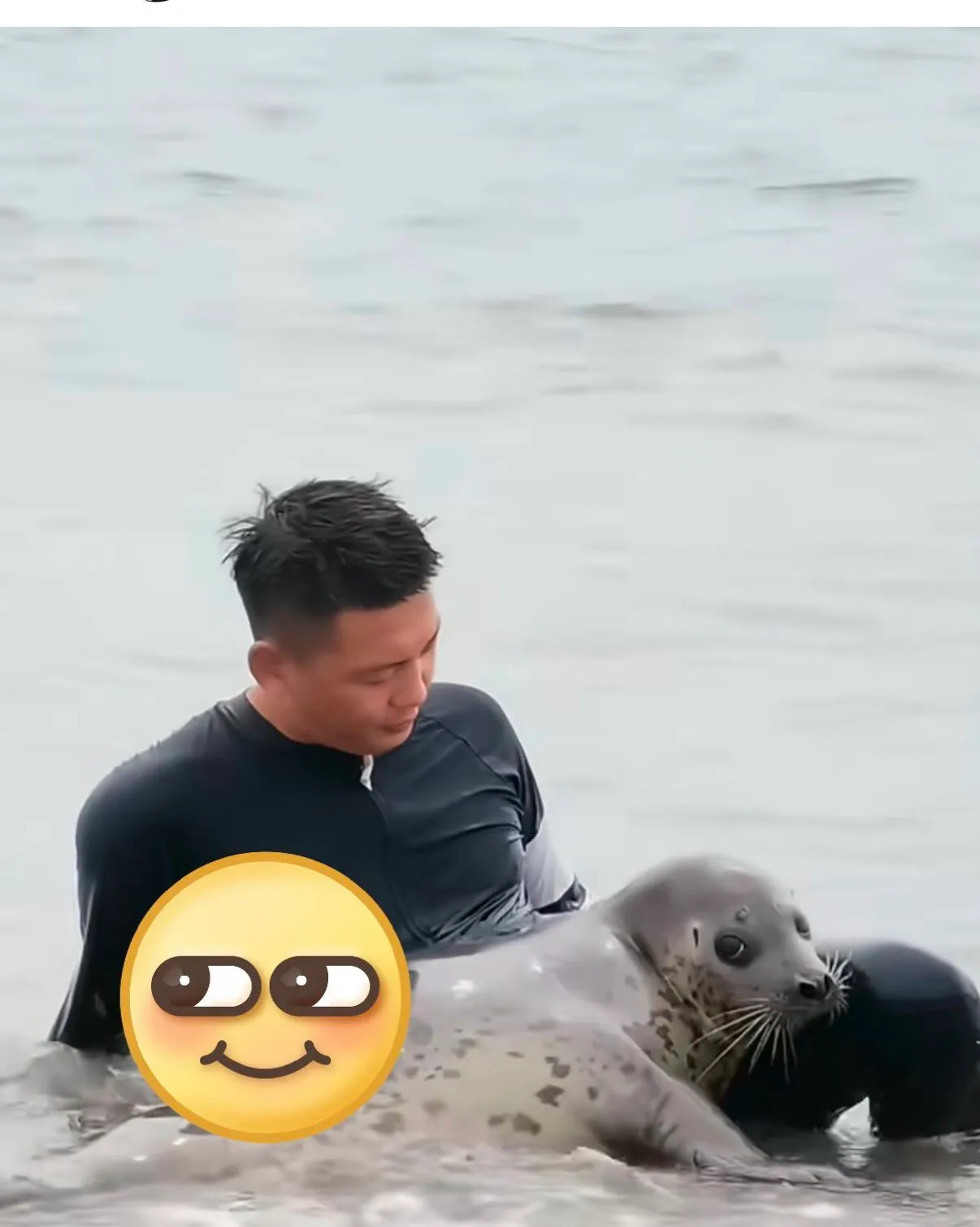 한국에는 부캉이, 중국에는 나나