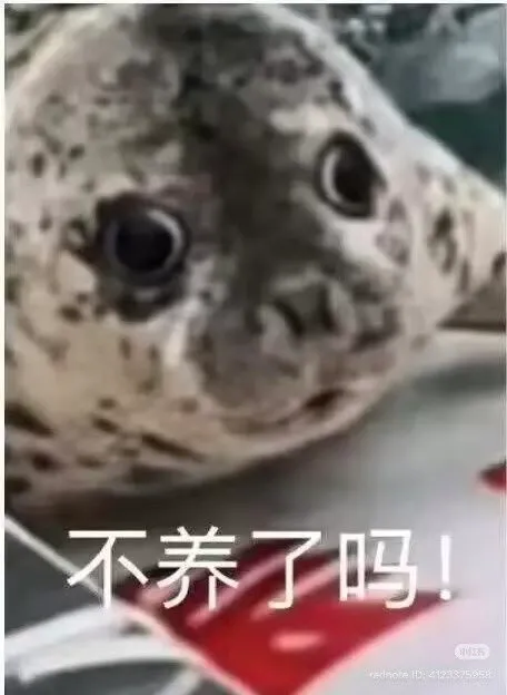 한국에는 부캉이, 중국에는 나나