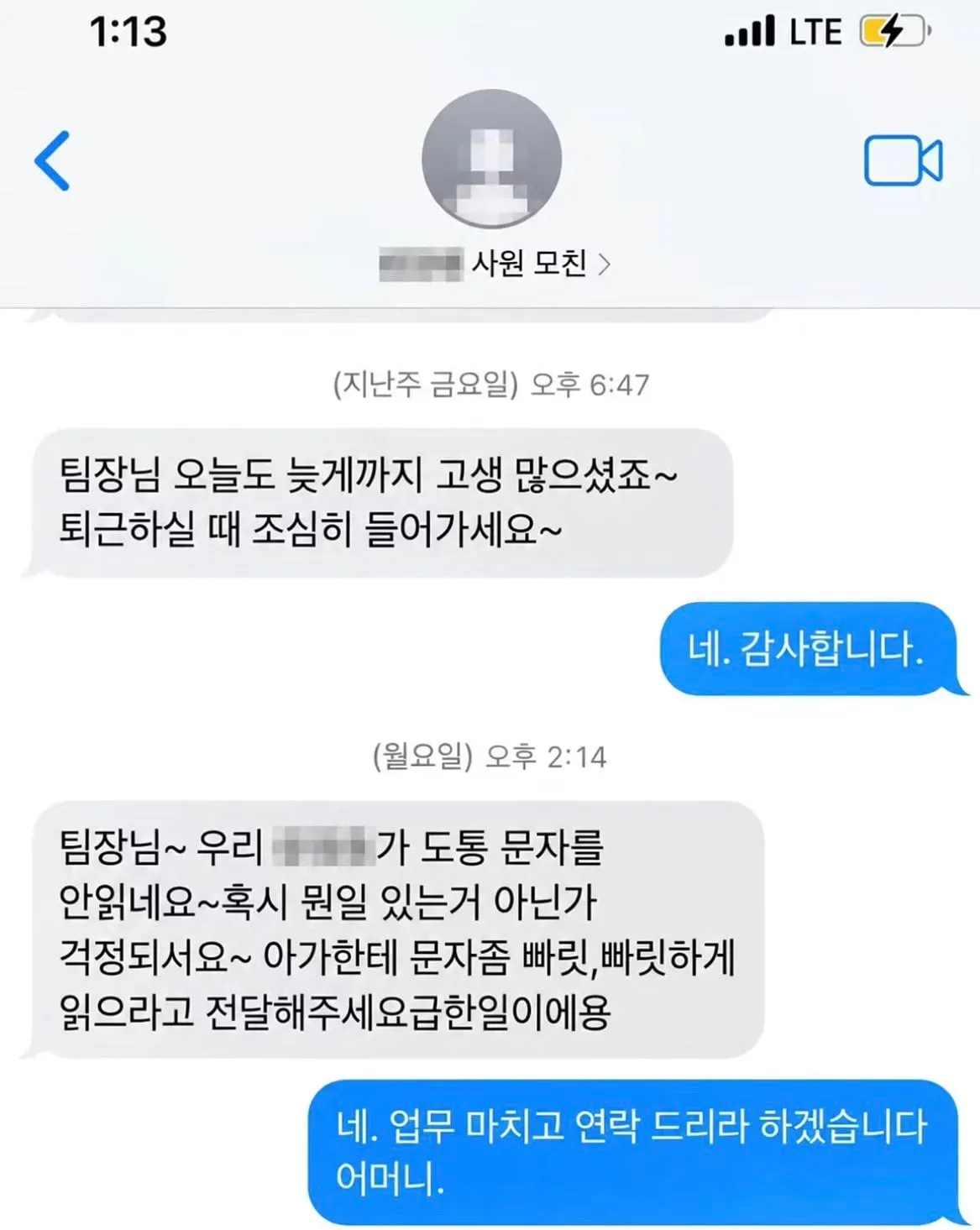 신입 레전드