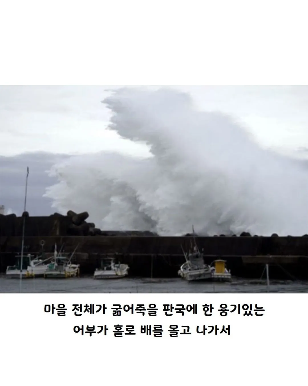 영국 정어리 파이의 진실.jpg