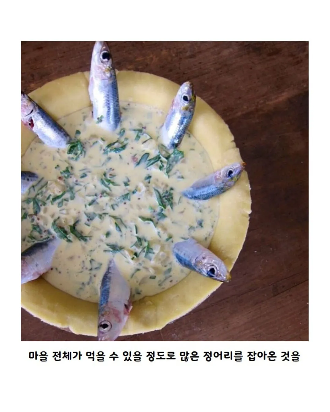 영국 정어리 파이의 진실.jpg