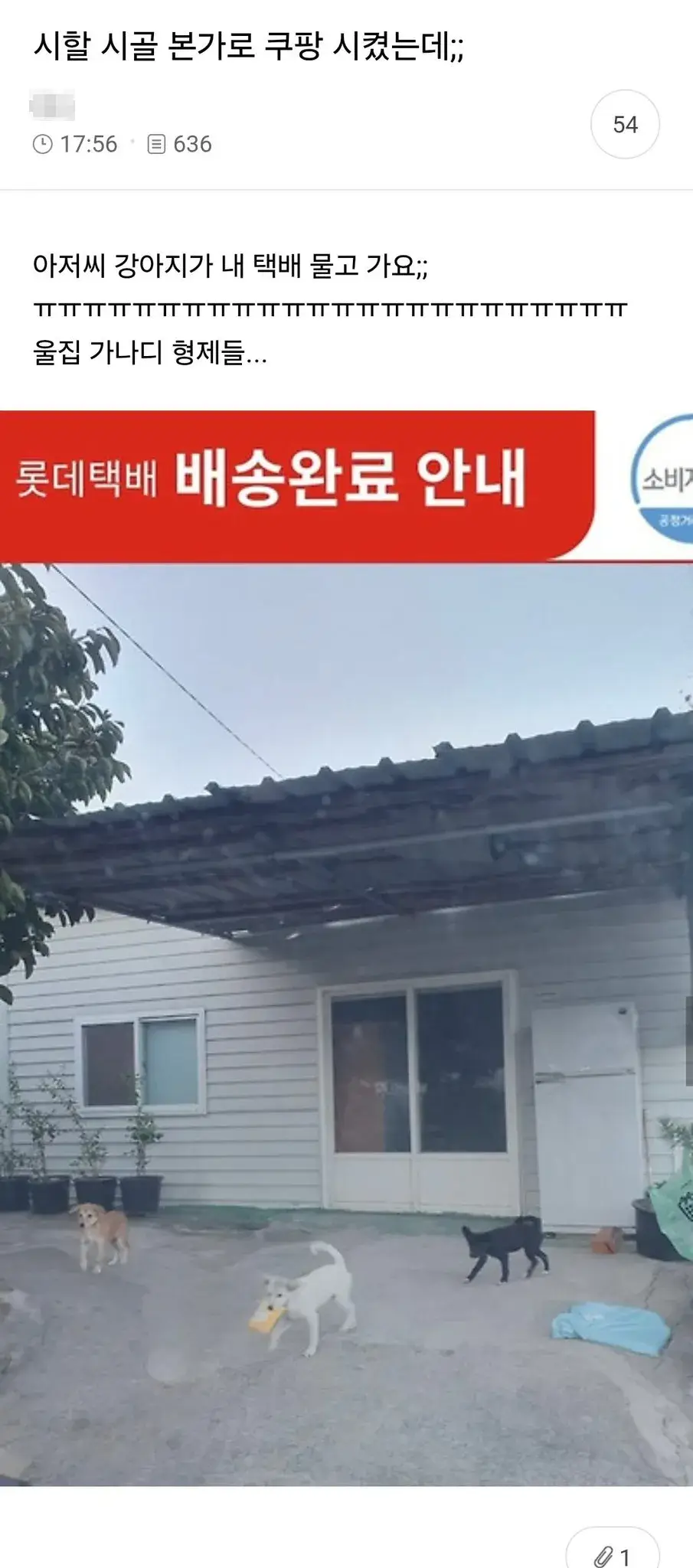 시골 본가로 쿠팡시켰는데.jpg