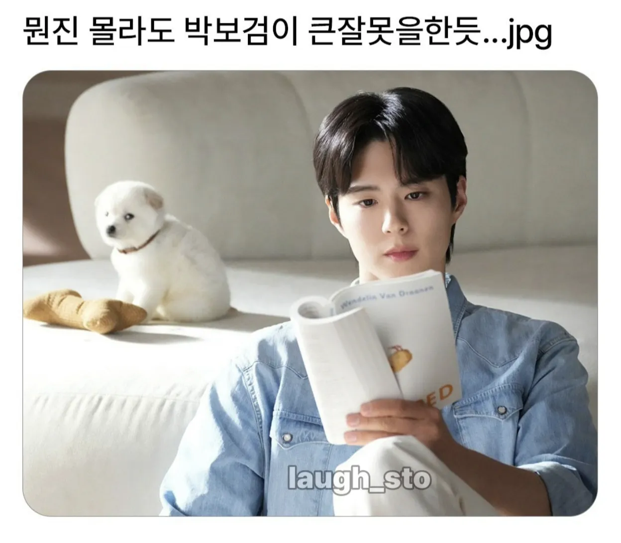 레벨존 인기 게시물 - 뭔진 몰라도 박보검이 큰 잘못을한듯...jpg