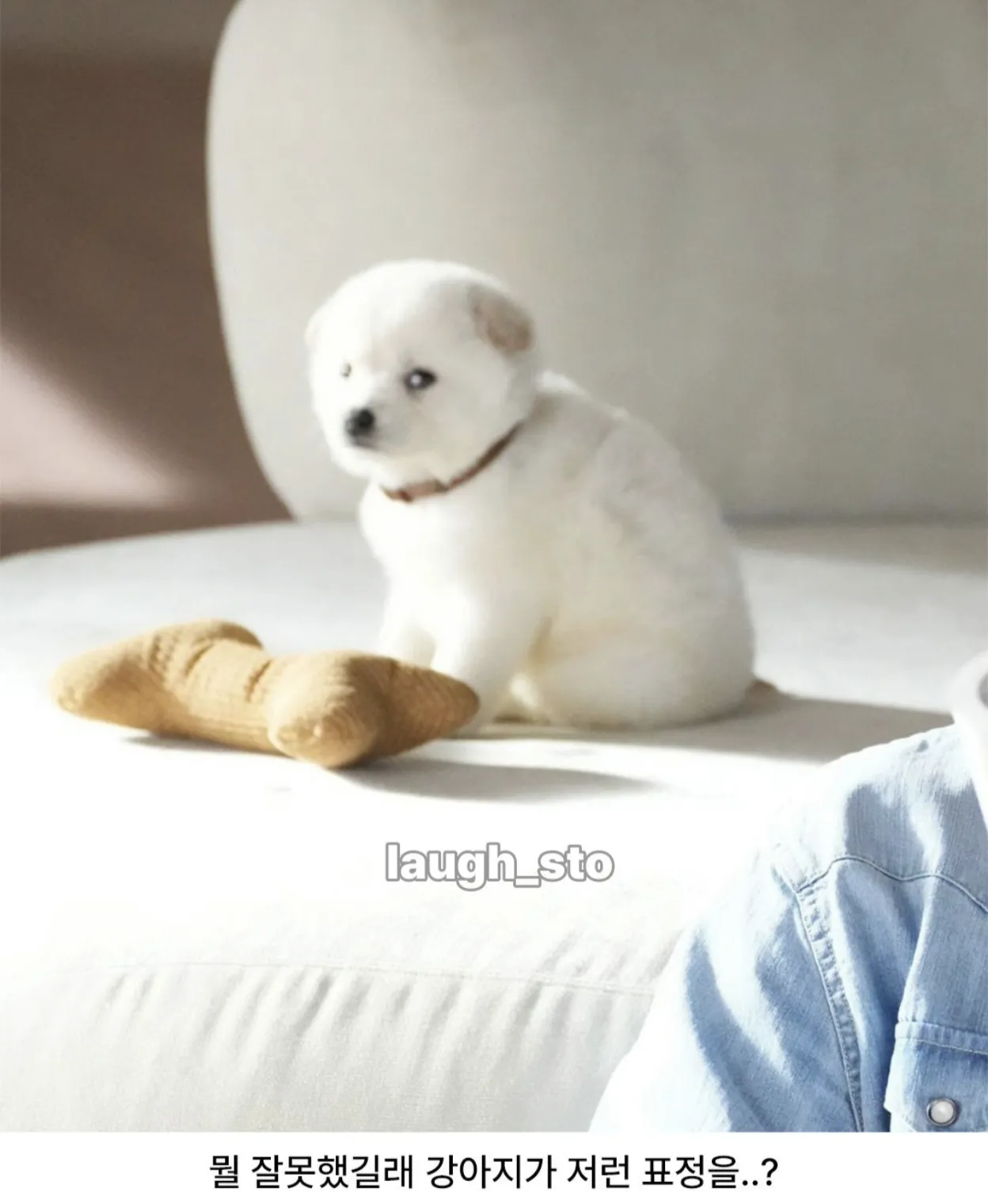 뭔진 몰라도 박보검이 큰 잘못을한듯...jpg