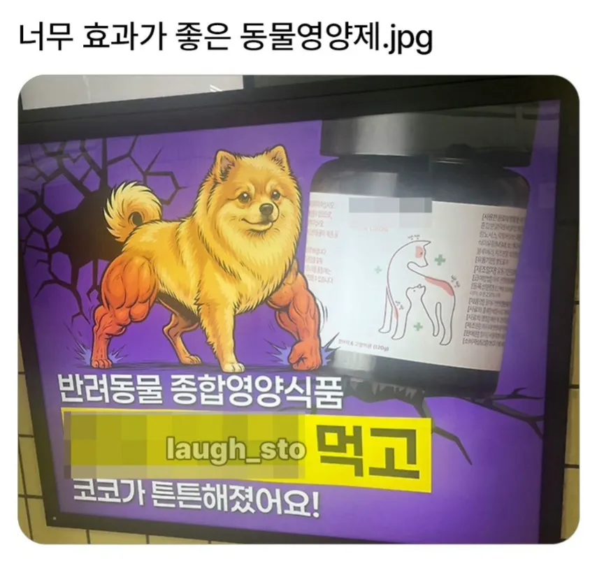 너무 효과가 좋은 동물영양제.jpg