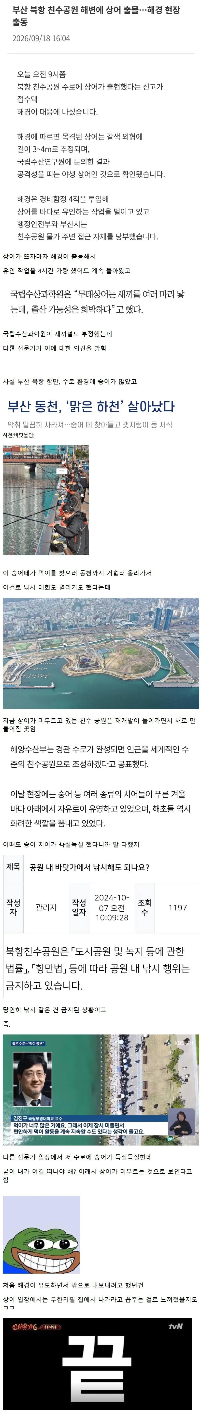 부산 상어가 머무르는 이유.
