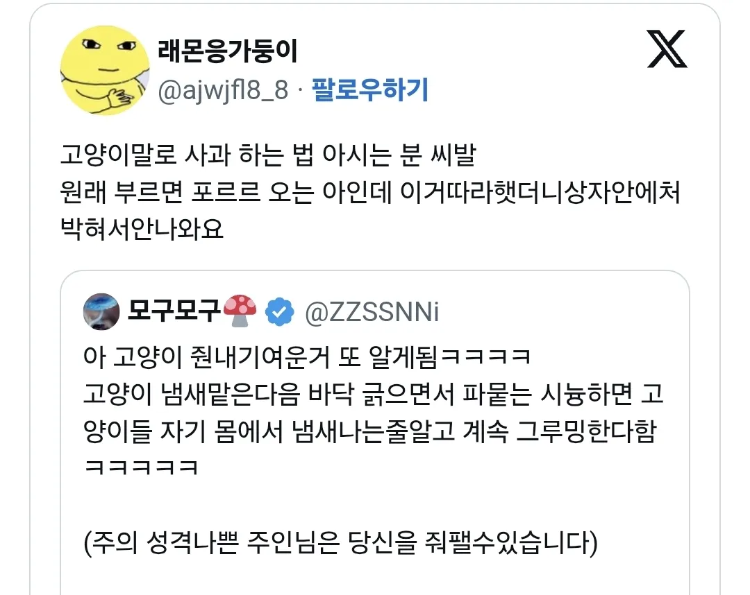 레벨존 인기 게시물 - 고양이 사과하는법 아시는 분?