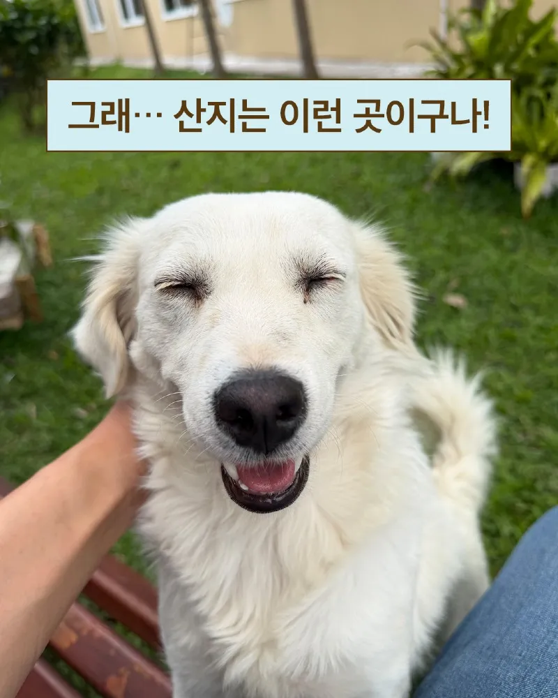 Insta] 대표님에게 콜롬비아 출장사진 요청했더니