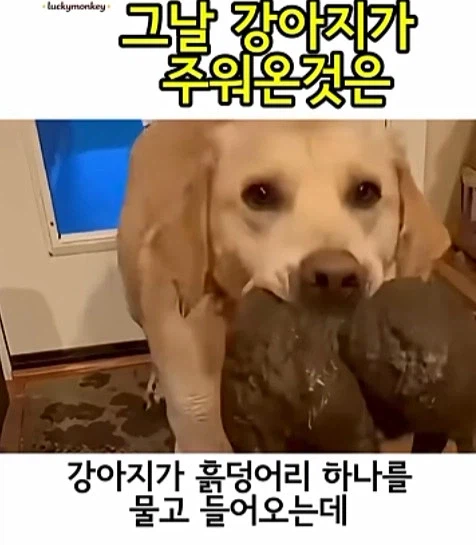 레벨존 인기 게시물 - [스압] 유튜브 쇼츠 AI 뇌절 대잔치