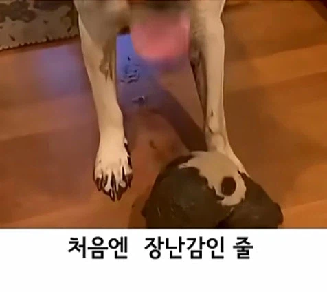 유튜브 쇼츠 AI 뇌절 대잔치