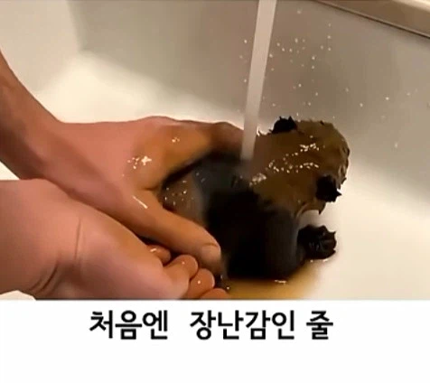 유튜브 쇼츠 AI 뇌절 대잔치