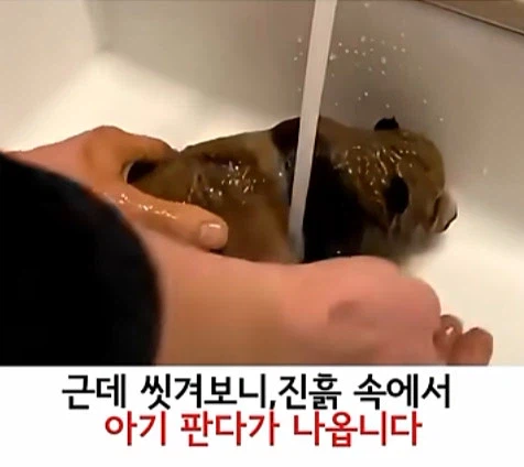 유튜브 쇼츠 AI 뇌절 대잔치