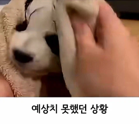 유튜브 쇼츠 AI 뇌절 대잔치