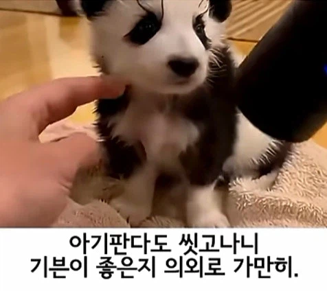 유튜브 쇼츠 AI 뇌절 대잔치