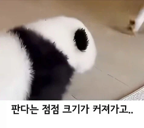 유튜브 쇼츠 AI 뇌절 대잔치