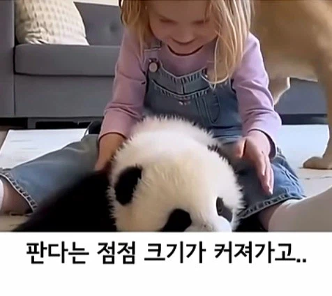 유튜브 쇼츠 AI 뇌절 대잔치