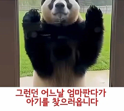 유튜브 쇼츠 AI 뇌절 대잔치