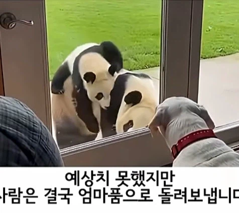 유튜브 쇼츠 AI 뇌절 대잔치