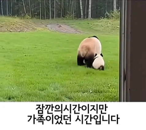 유튜브 쇼츠 AI 뇌절 대잔치
