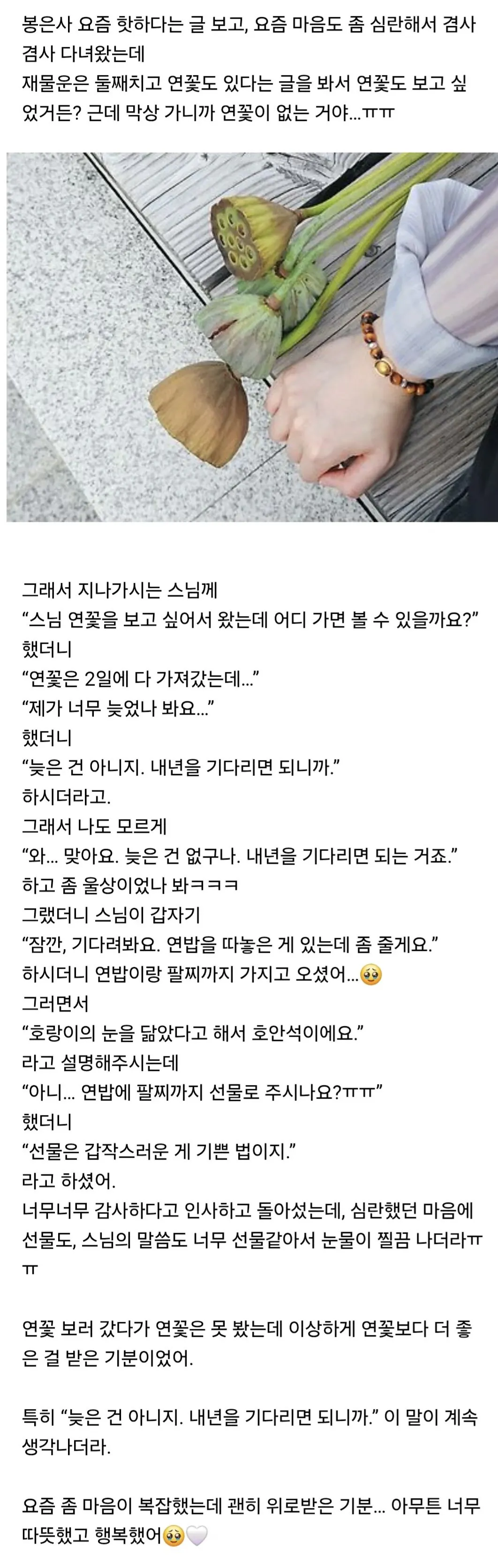 레벨존 인기 게시물 - 봉은사에 갔다가 힐링 제대로 했어.jpg