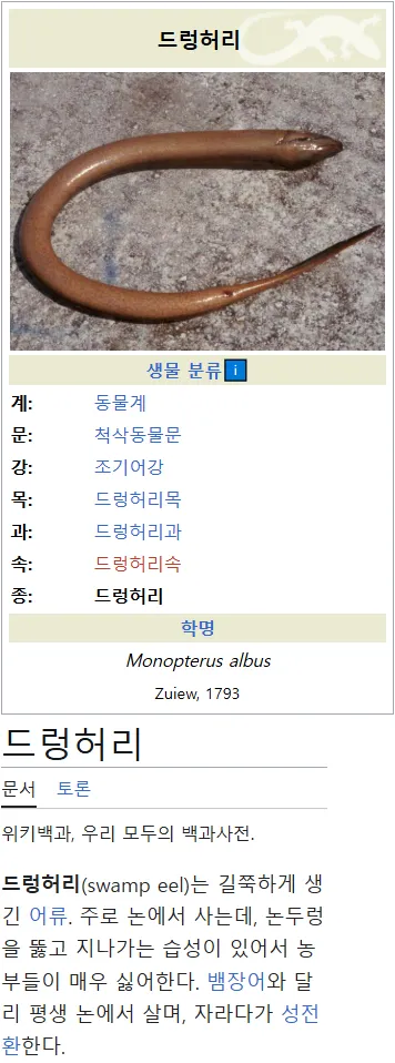 드렁허리