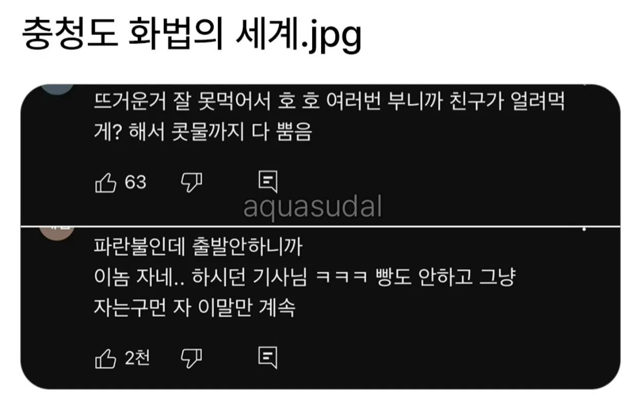 프리서버 커뮤니티 인기 게시물 - 충청도 화법의 세계.jpg