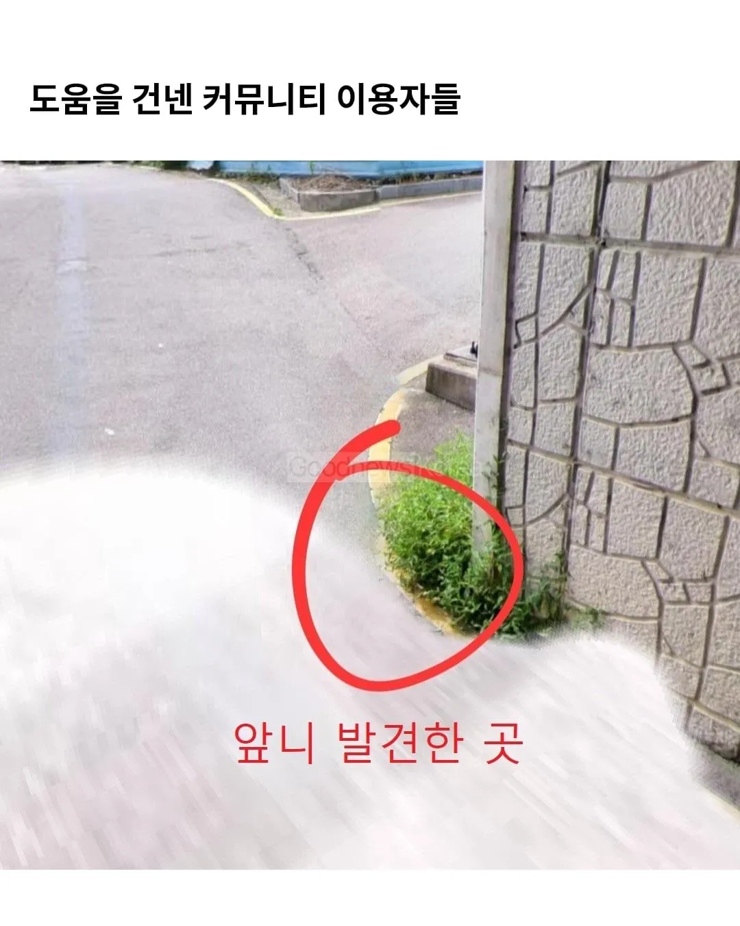 뺑소니범 잡히자 기부한 피해아동가족.jpg